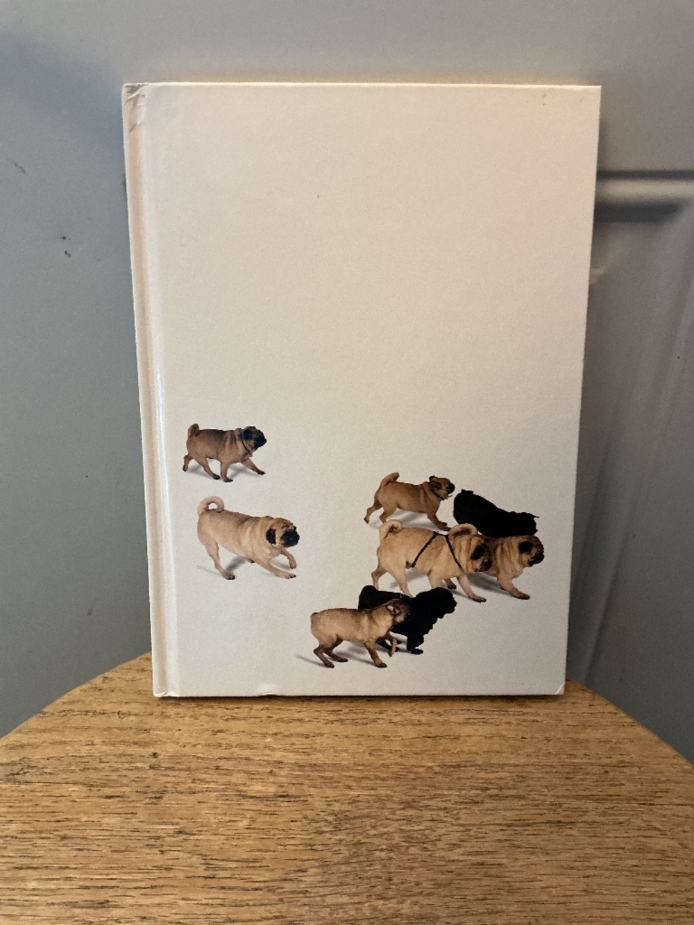 Pugs In Public Book Diony Stoddard Farr Elizabeth Bowditch Bennett